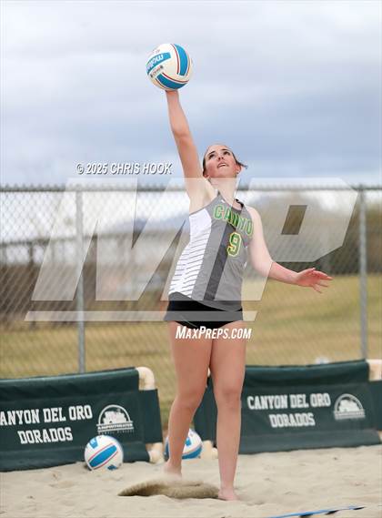 Thumbnail 3 in Dobson @ Canyon del Oro photogallery.