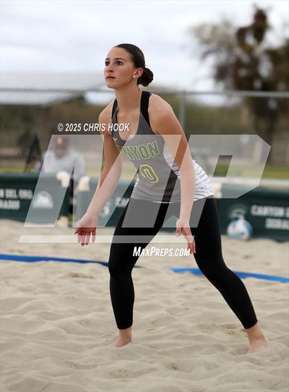 Thumbnail 1 in Dobson @ Canyon del Oro photogallery.