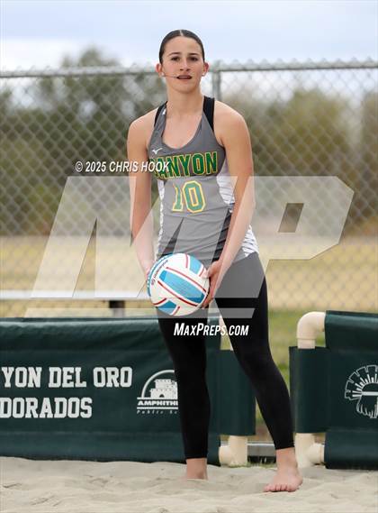 Thumbnail 3 in Dobson @ Canyon del Oro photogallery.