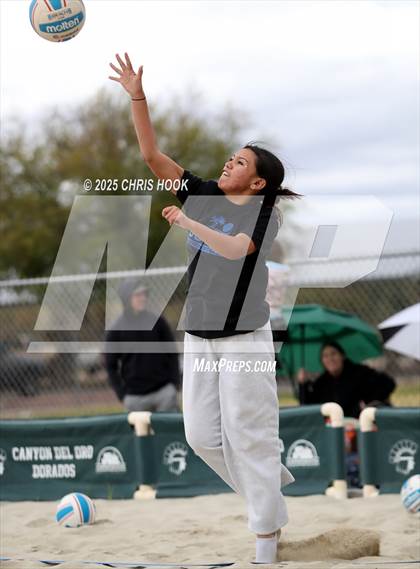 Thumbnail 1 in Dobson @ Canyon del Oro photogallery.
