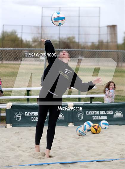 Thumbnail 1 in Dobson @ Canyon del Oro photogallery.