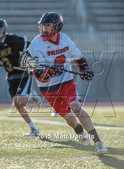 Thumbnail 1 in Palmer @ Chaparral photogallery.