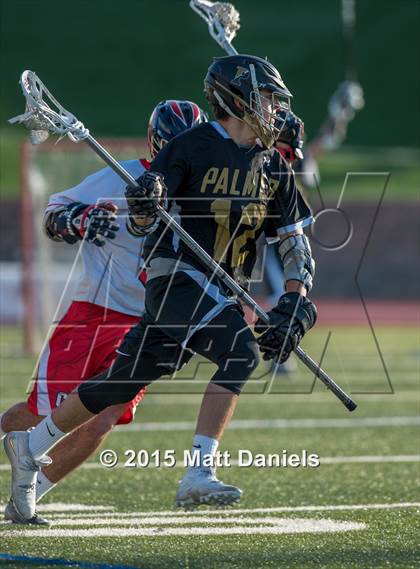 Thumbnail 3 in Palmer @ Chaparral photogallery.