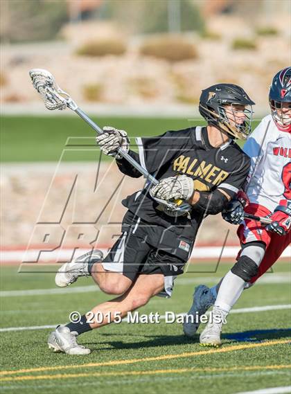 Thumbnail 1 in Palmer @ Chaparral photogallery.