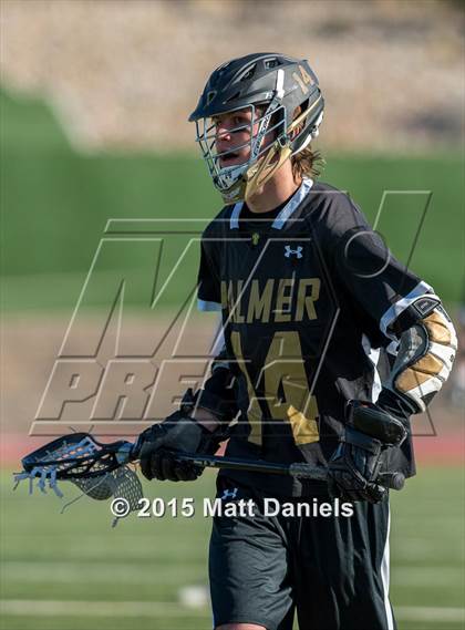 Thumbnail 1 in Palmer @ Chaparral photogallery.