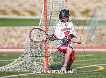 Thumbnail 1 in Palmer @ Chaparral photogallery.
