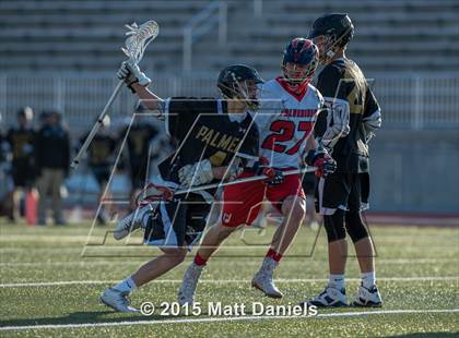 Thumbnail 1 in Palmer @ Chaparral photogallery.