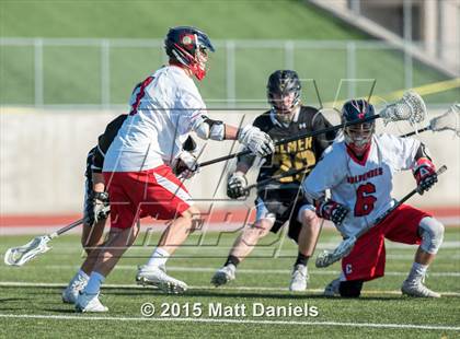 Thumbnail 2 in Palmer @ Chaparral photogallery.