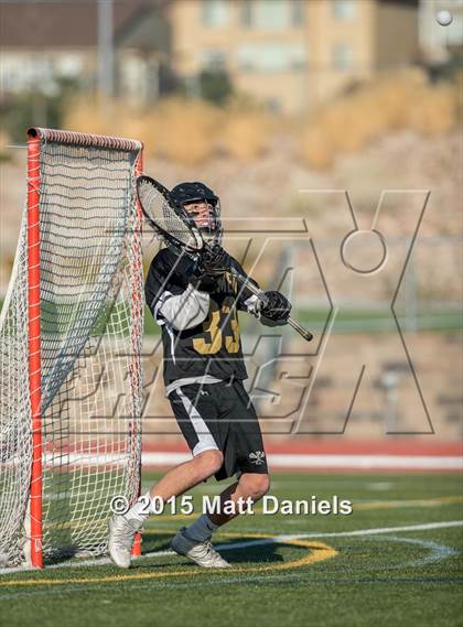 Thumbnail 3 in Palmer @ Chaparral photogallery.