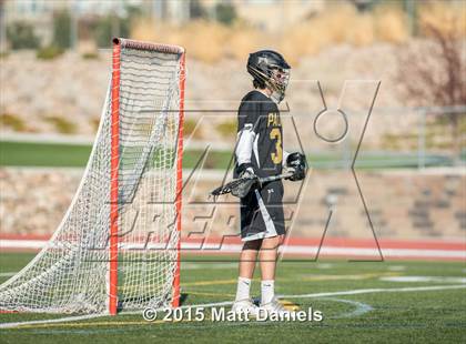 Thumbnail 1 in Palmer @ Chaparral photogallery.