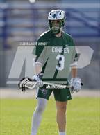 Photo from the gallery "Conifer @ Golden"