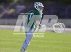 Photo from the gallery "Conifer @ Golden"