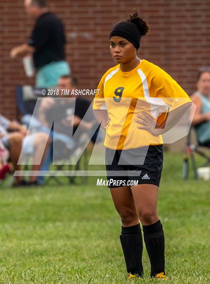 Thumbnail 2 in South Ripley @ Milan  photogallery.