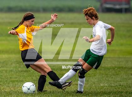 Thumbnail 1 in South Ripley @ Milan  photogallery.