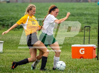 Thumbnail 3 in South Ripley @ Milan  photogallery.