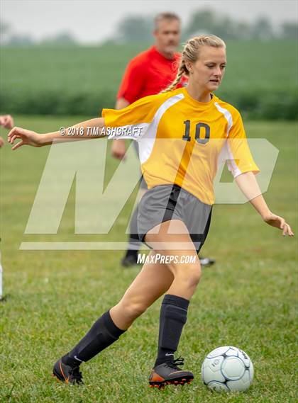 Thumbnail 1 in South Ripley @ Milan  photogallery.