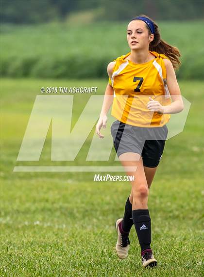 Thumbnail 3 in South Ripley @ Milan  photogallery.