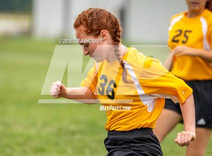Thumbnail 1 in South Ripley @ Milan  photogallery.