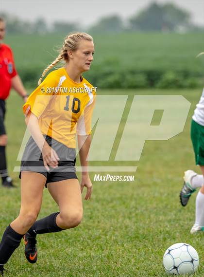 Thumbnail 2 in South Ripley @ Milan  photogallery.
