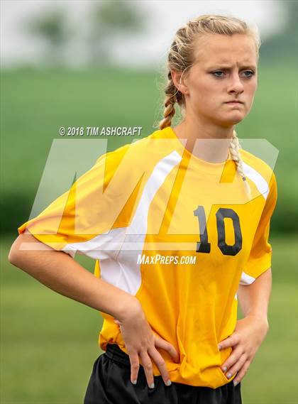 Thumbnail 3 in South Ripley @ Milan  photogallery.