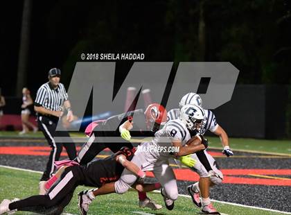 Thumbnail 3 in Calvary Christian @ Carrollwood Day photogallery.