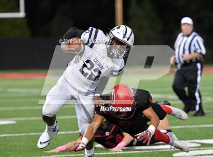 Thumbnail 2 in Calvary Christian @ Carrollwood Day photogallery.