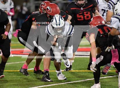 Thumbnail 1 in Calvary Christian @ Carrollwood Day photogallery.