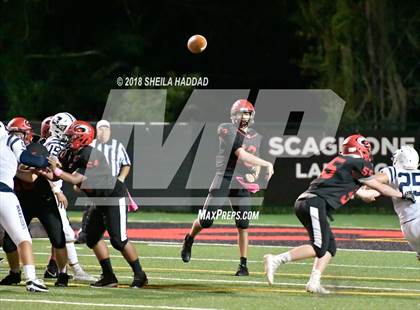 Thumbnail 2 in Calvary Christian @ Carrollwood Day photogallery.