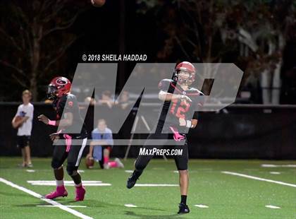 Thumbnail 3 in Calvary Christian @ Carrollwood Day photogallery.