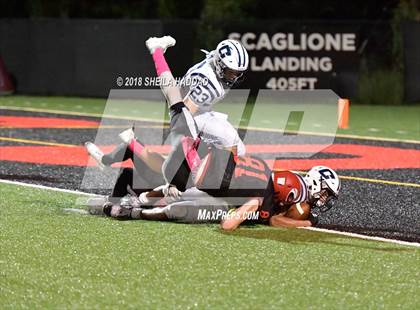 Thumbnail 3 in Calvary Christian @ Carrollwood Day photogallery.
