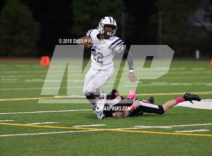 Thumbnail 1 in Calvary Christian @ Carrollwood Day photogallery.