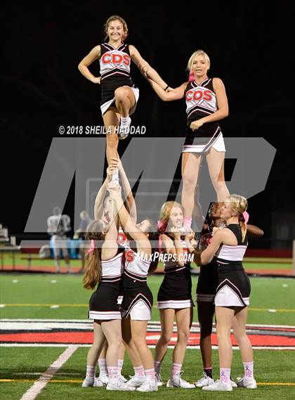Thumbnail 1 in Calvary Christian @ Carrollwood Day photogallery.