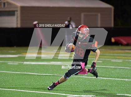 Thumbnail 1 in Calvary Christian @ Carrollwood Day photogallery.