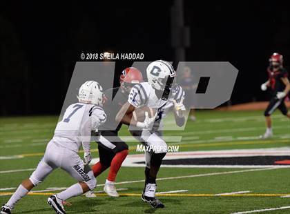 Thumbnail 1 in Calvary Christian @ Carrollwood Day photogallery.