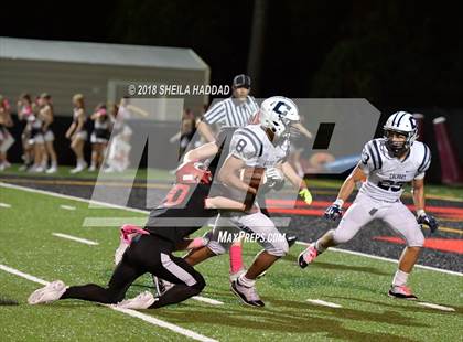 Thumbnail 2 in Calvary Christian @ Carrollwood Day photogallery.