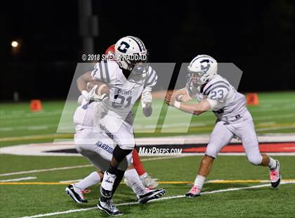 Thumbnail 3 in Calvary Christian @ Carrollwood Day photogallery.
