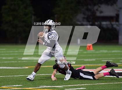 Thumbnail 3 in Calvary Christian @ Carrollwood Day photogallery.