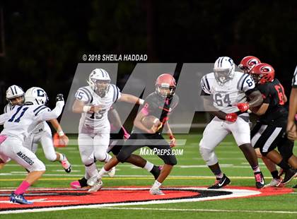 Thumbnail 3 in Calvary Christian @ Carrollwood Day photogallery.