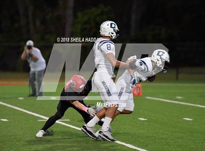 Thumbnail 3 in Calvary Christian @ Carrollwood Day photogallery.