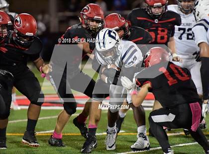 Thumbnail 3 in Calvary Christian @ Carrollwood Day photogallery.