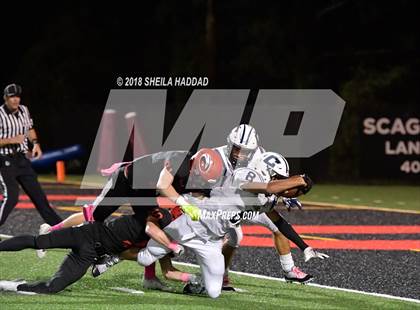 Thumbnail 1 in Calvary Christian @ Carrollwood Day photogallery.