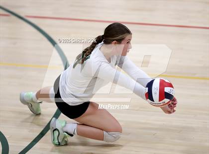 Thumbnail 2 in FR: Mica Mountain @ Canyon del Oro photogallery.