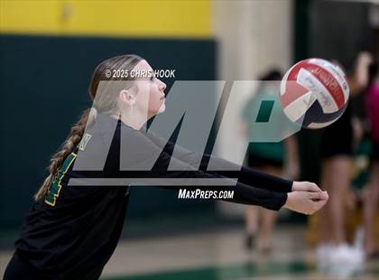 Thumbnail 2 in FR: Mica Mountain @ Canyon del Oro photogallery.