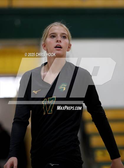 Thumbnail 1 in FR: Mica Mountain @ Canyon del Oro photogallery.