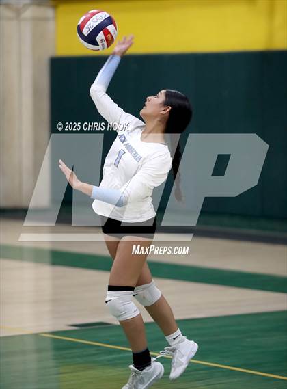 Thumbnail 3 in FR: Mica Mountain @ Canyon del Oro photogallery.