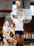 Photo from the gallery "Scotland @ South View"