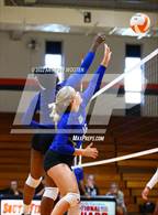 Photo from the gallery "Scotland @ South View"