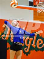 Photo from the gallery "Scotland @ South View"