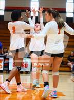 Photo from the gallery "Scotland @ South View"