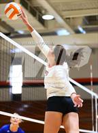 Photo from the gallery "Scotland @ South View"